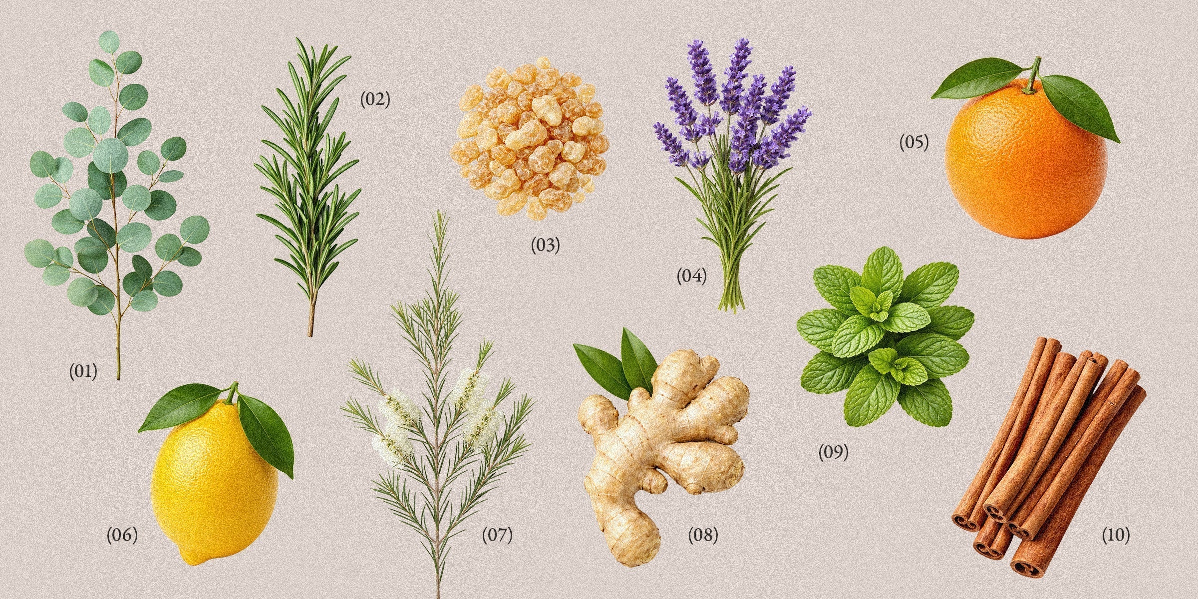 Top 10 Best Essential Oils to Use in Winter