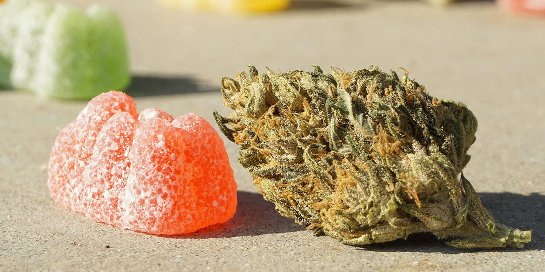 Smoking vs. Edibles: What’s Better for Your Body?