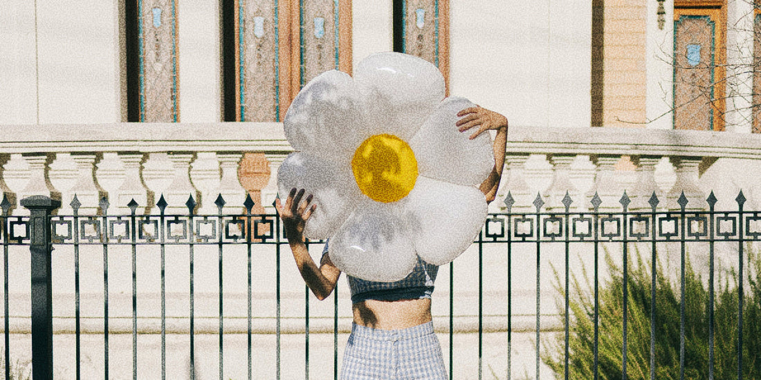 Terpene Power: Nature’s Hidden Mood Modulators