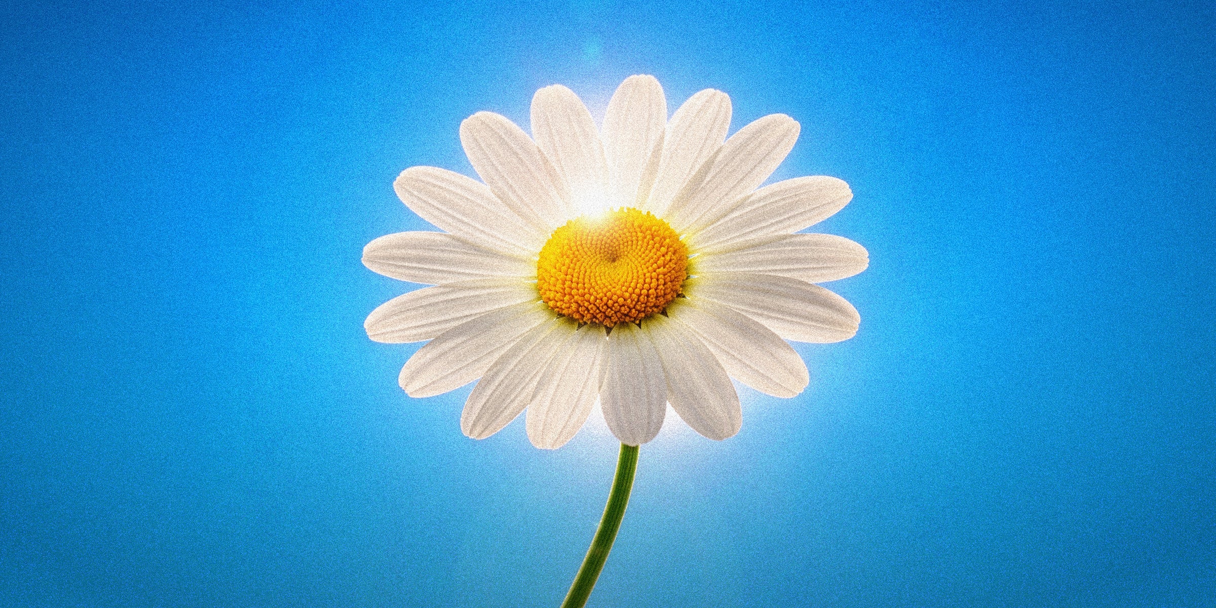 The Spring Equinox: A Turning Point for New Beginnings