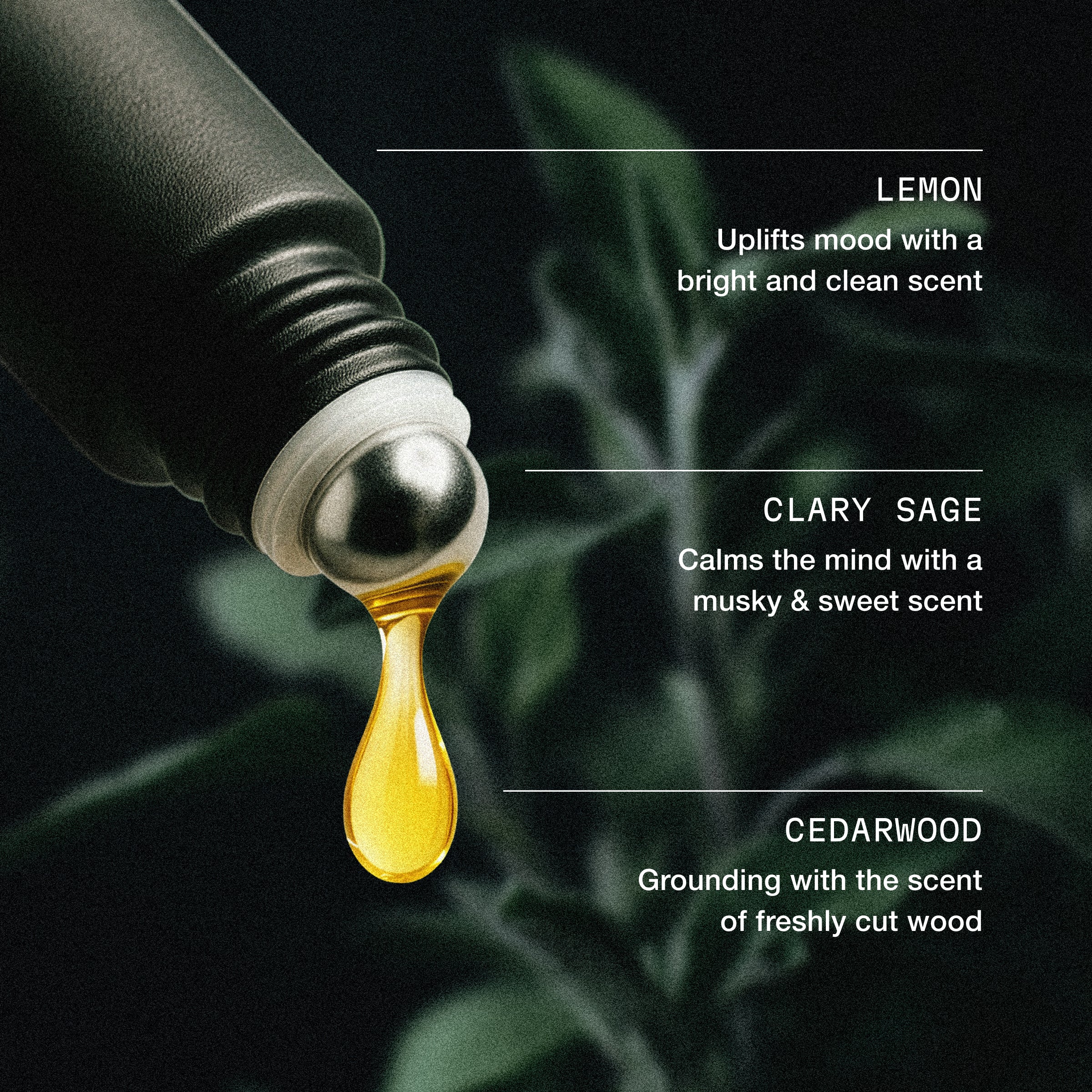 Blue Sky Scented Oil