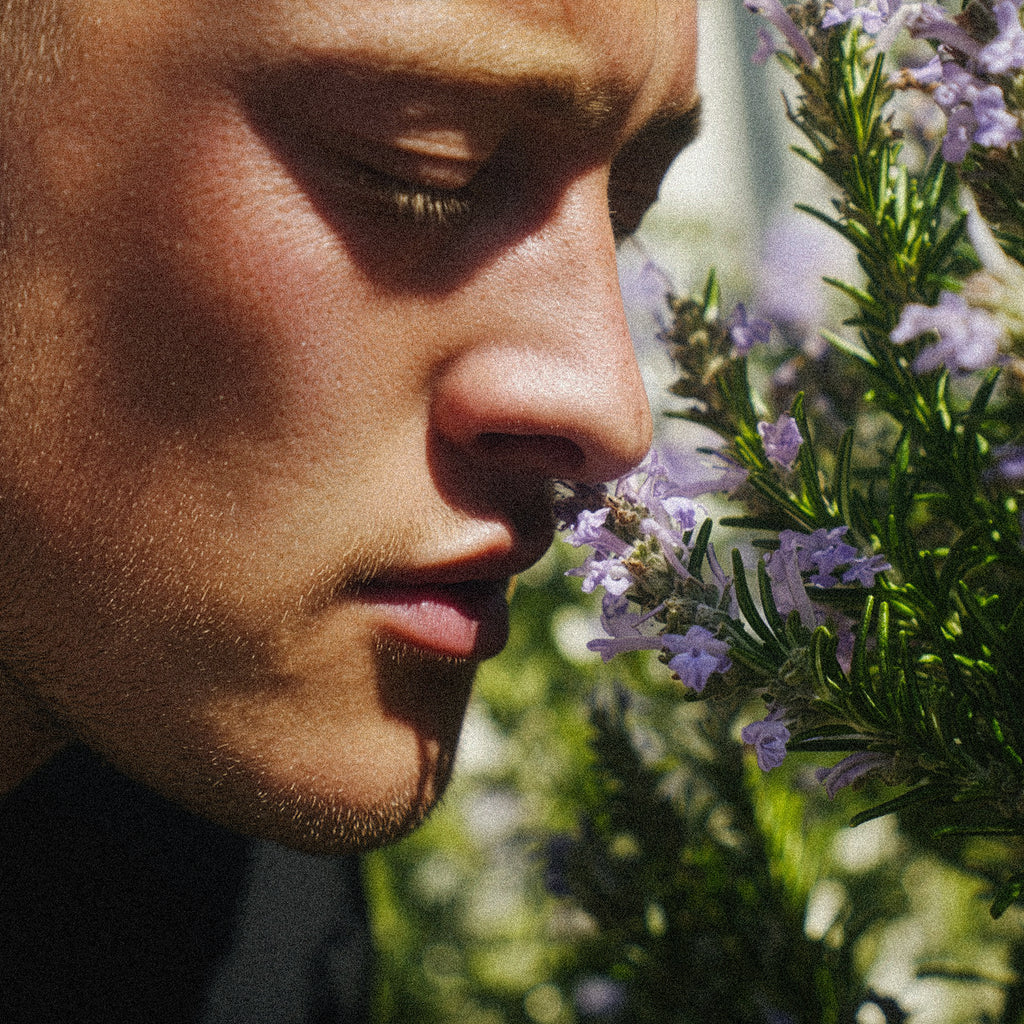 Focus Point Scented Oil