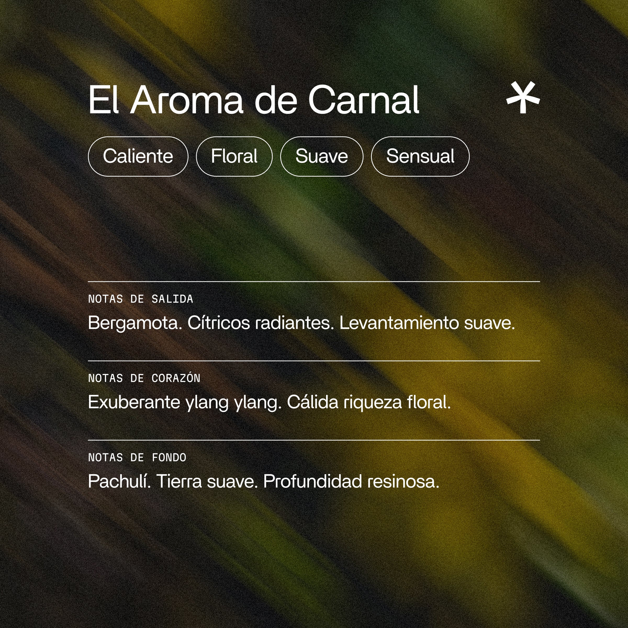 Carnal Aceites Esenciales