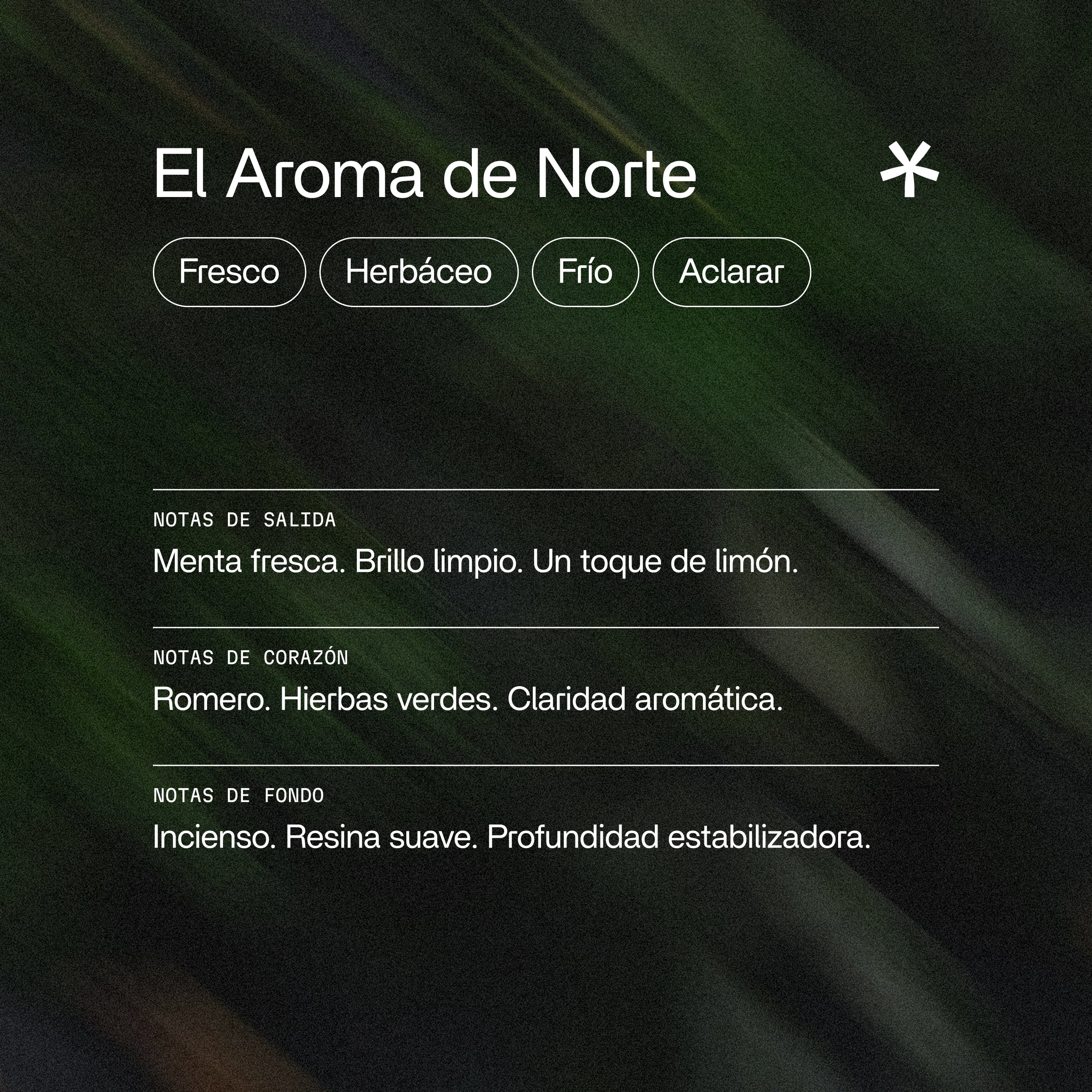 Norte Aceites Esenciales