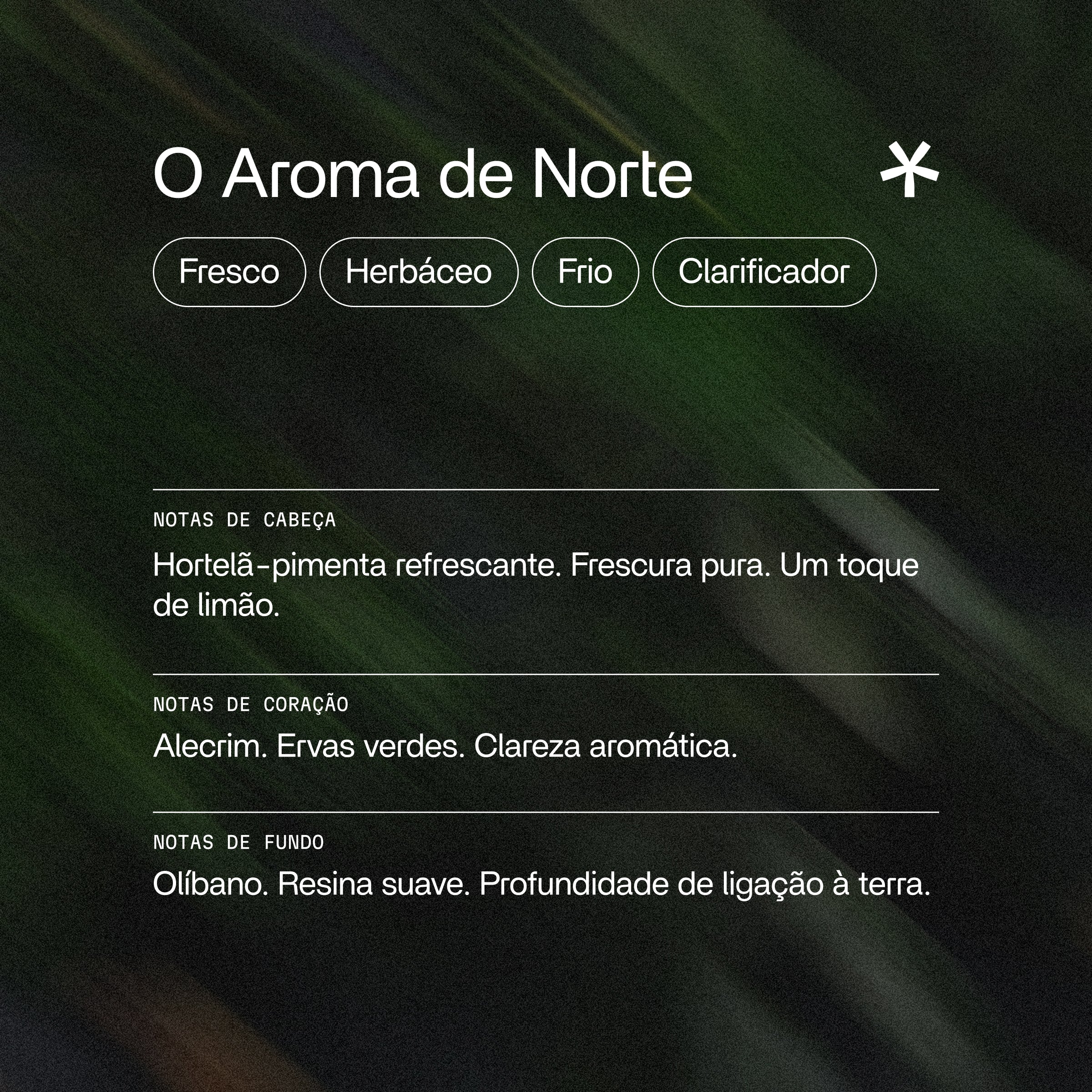 Norte Óleos Essenciais